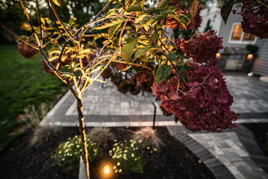 Gorgeous landscaped yard around patio in Rocky River, Ohio