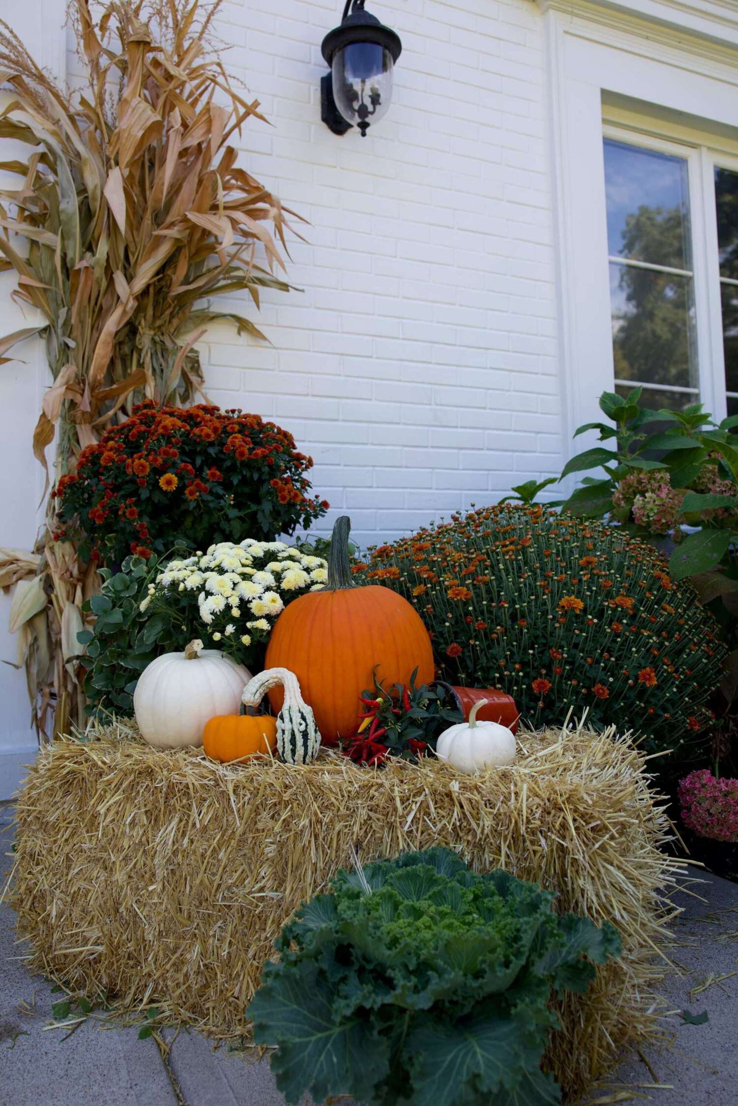 Autumn Luxe display picture